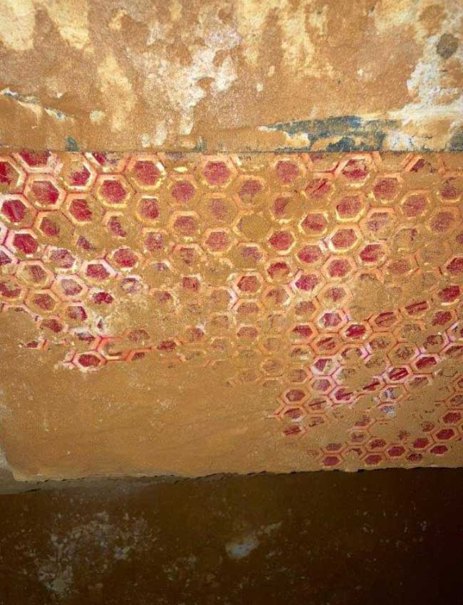 Ceracomp-Protector_2