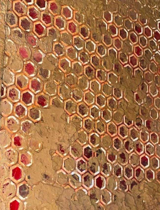 Ceracomp-Protector_5