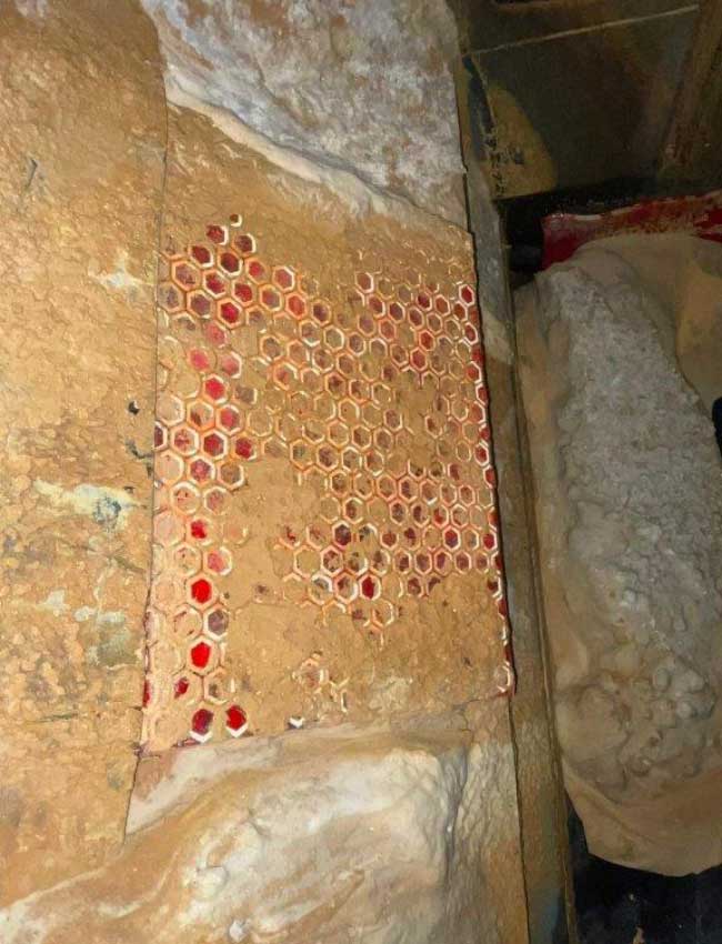 Ceracomp-Protector_8